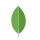 Logo MongoDB