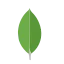 MongoDB logo